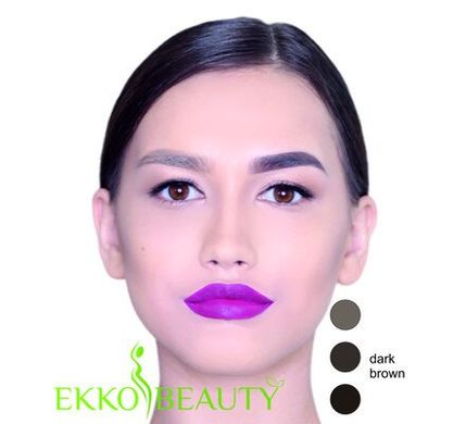 Купить Хна для бровей Dark Brown Ekko Beauty за 309 грн, фото - VISAGE