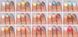 Тени 245 Candy Opal Paese (1164)