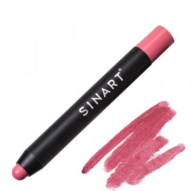 Купити Помада Олівець Pro Lipstick Pen Sinart за 270 грн, фото - VISAGE